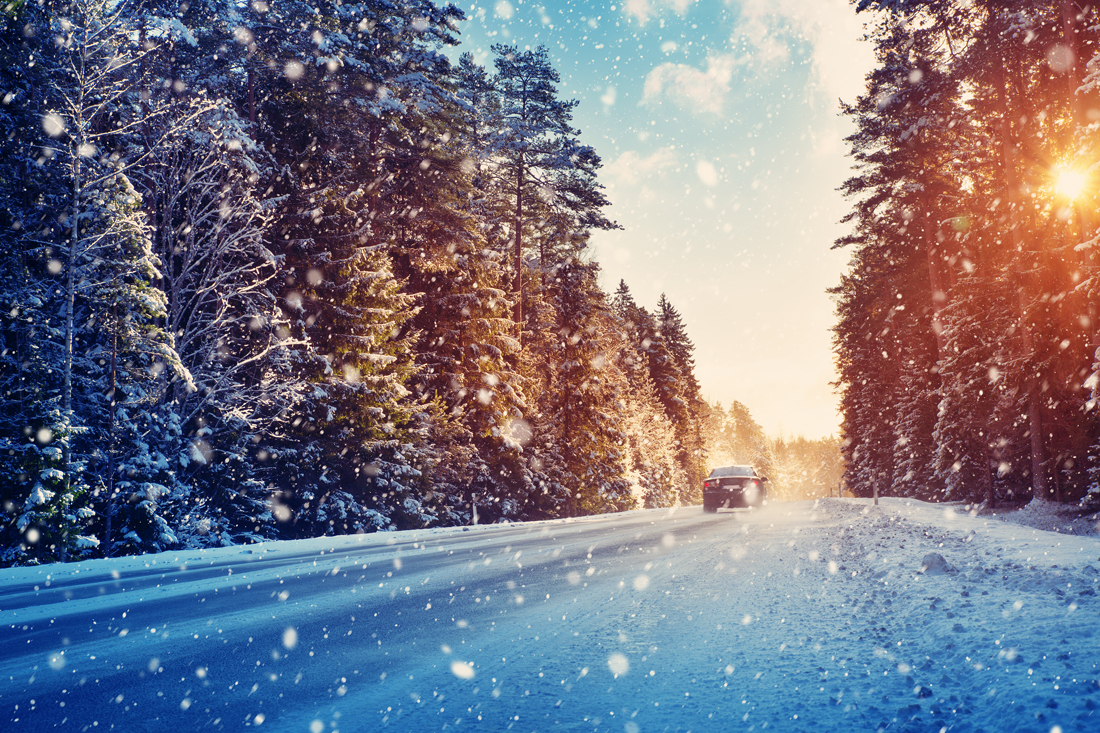 A snow covered road surrounded by tall trees as dawn