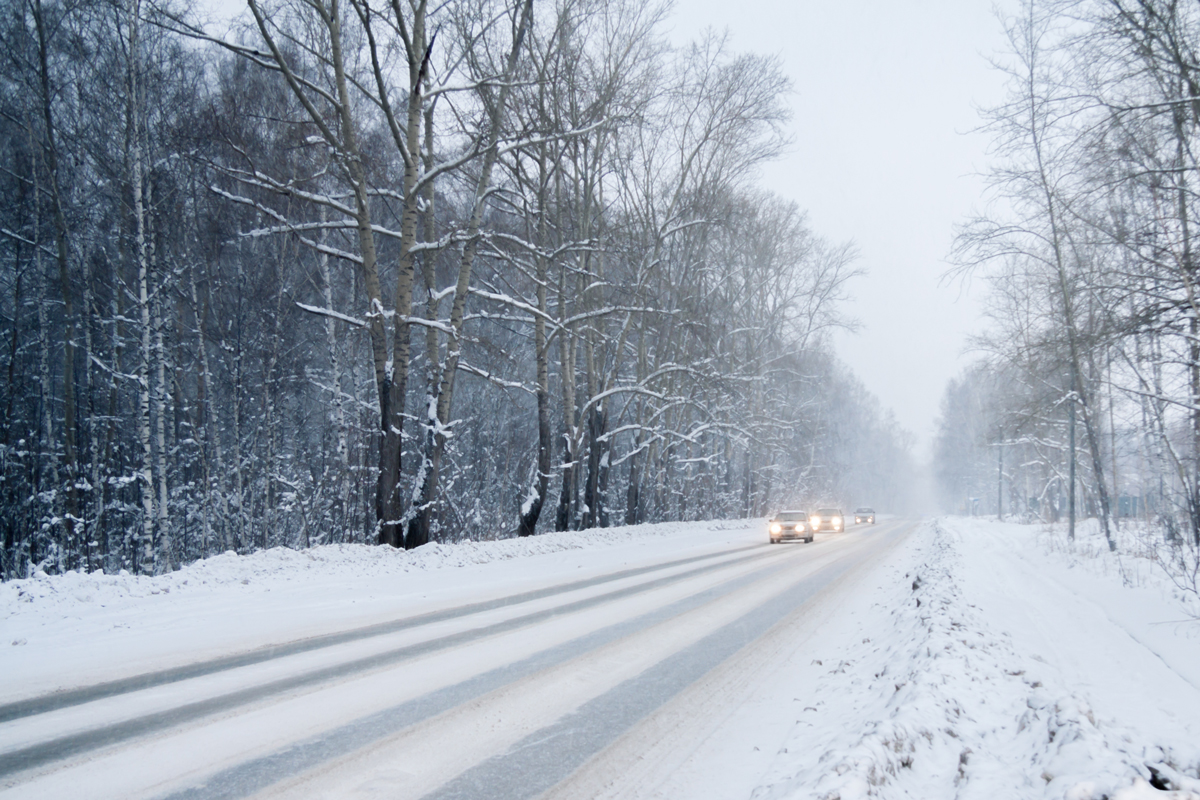 A road through a woodland area covered in snow