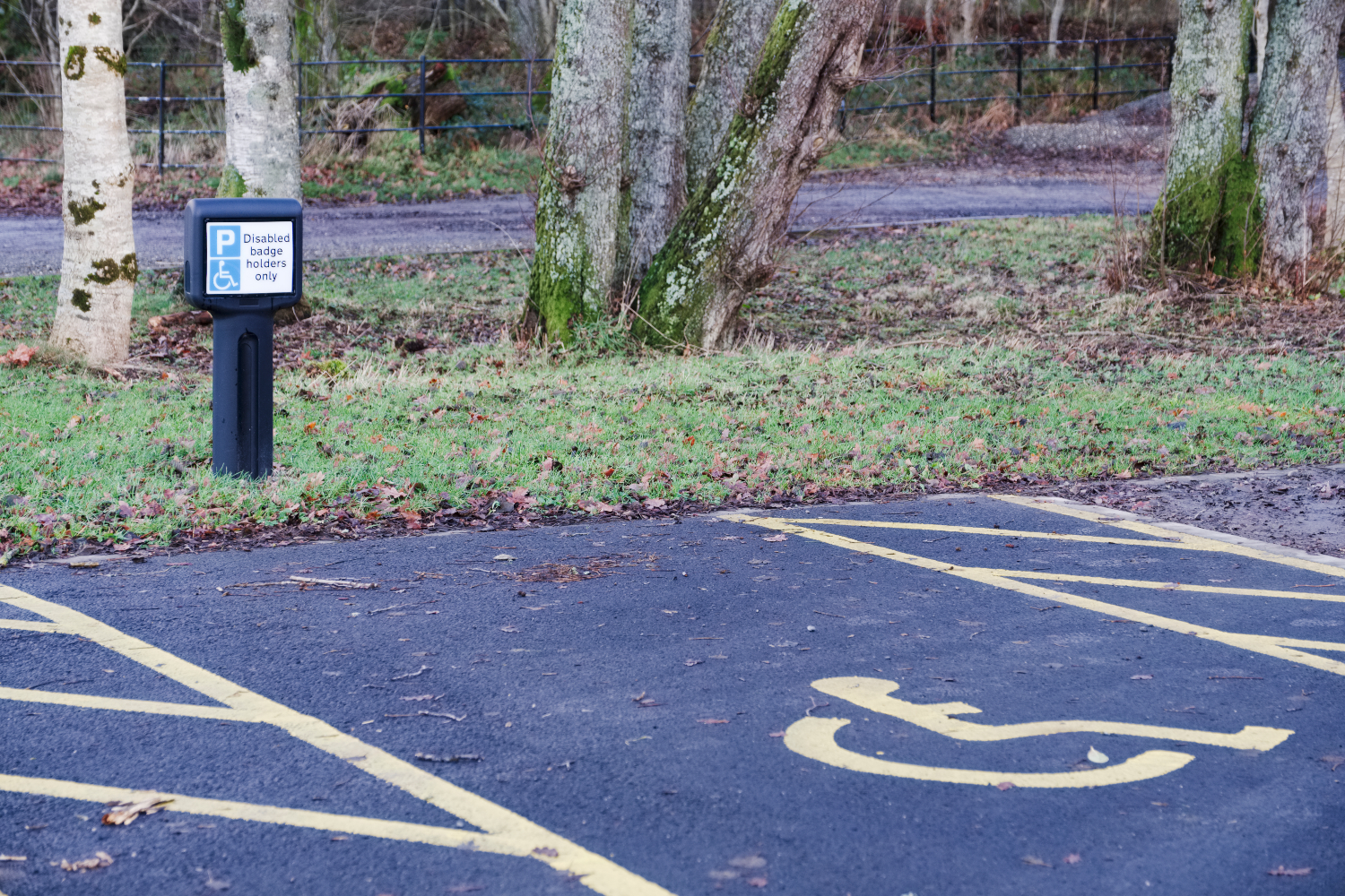 disabled-parking-spot.jpg