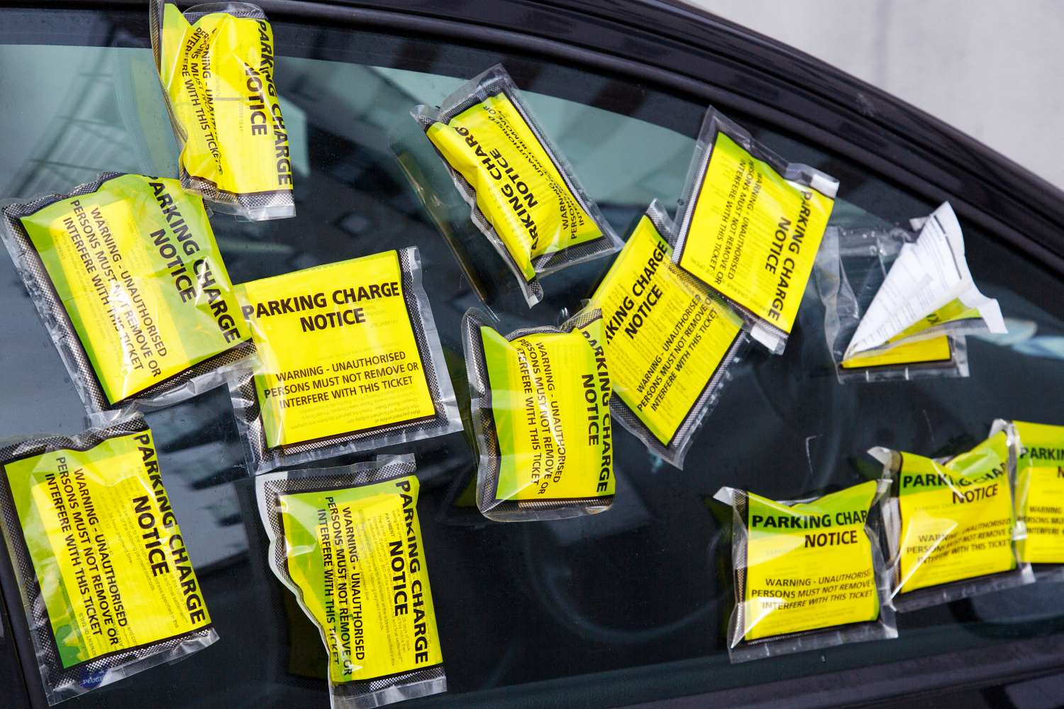 window-covered-in-parking-tickets.jpg