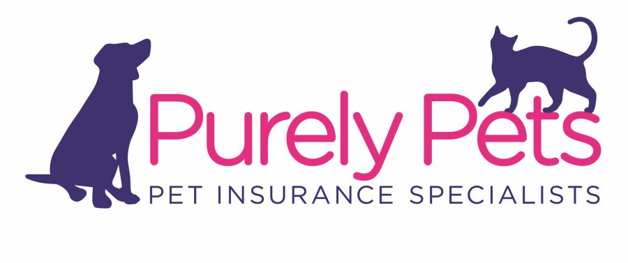 Pet Insurance